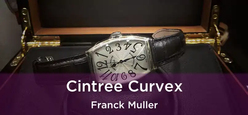  Cintree Curvex Franck Muller