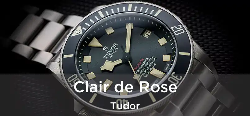  Clair de Rose Tudor